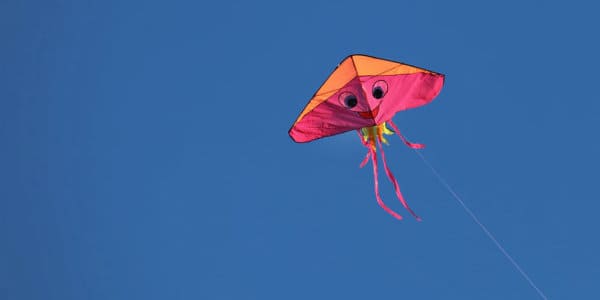 The Kite that Wouldn't Fly