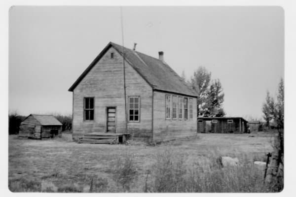 Rosebush at War 1941