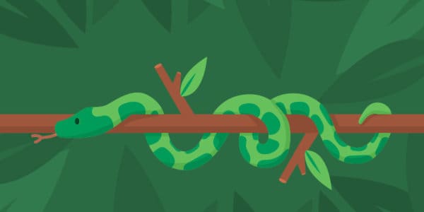 Snakes, Snails and Maggots Snake animation