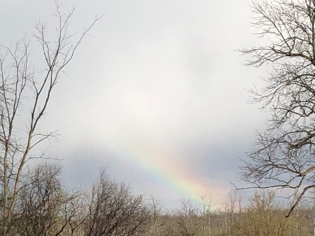 photograph a rainbow