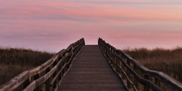 Fractured Tales 16 - Snake-back Wooden boardwalk/bridge