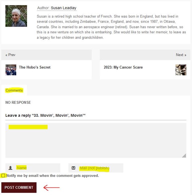 A screenshot of the comments section underneath a story