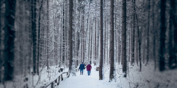Harry Hogan 29 - Aliens Among Us Couple walking in snow in forest