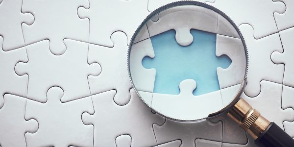 Missing piece of the puzzle