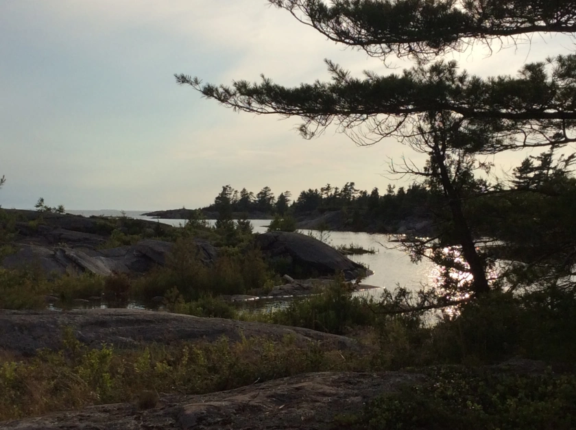 Water and rocks and trees