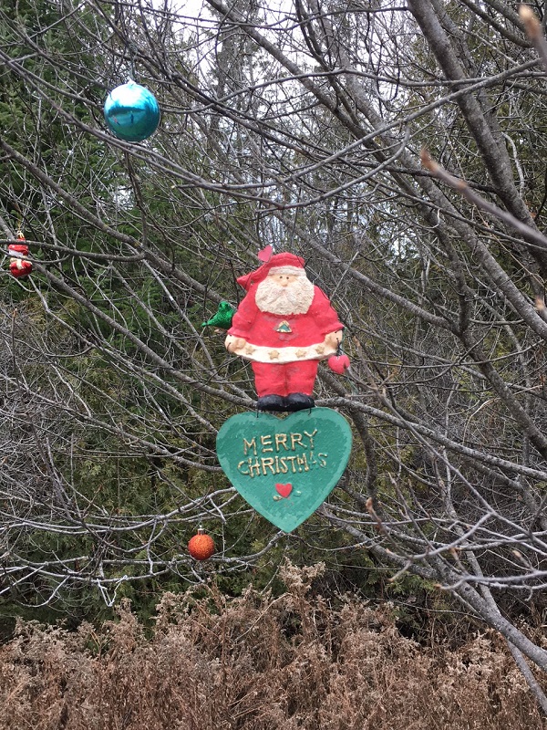 Christmas decorations on a tree, outside
