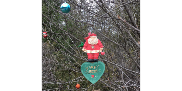 Christmas decorations on a tree, outside