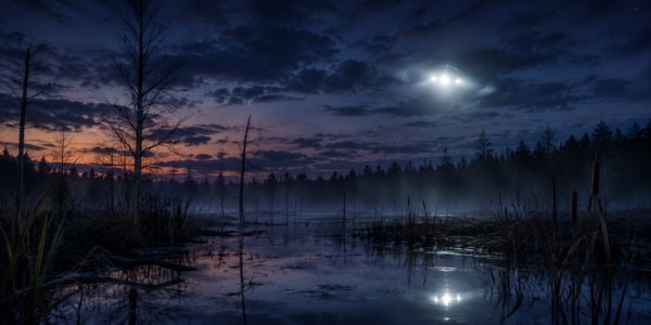 A mysterious light hovers above a dark, misty swamp at dusk, its glow reflected in the still water below.