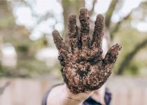 57 Rock Tuff, P.I.: A Duel at Dawn