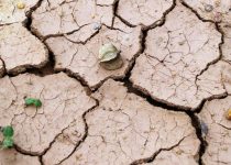 A Mid-Western Summer