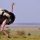 18. A Terrifying Visit to Wankie Game Reserve 18. A Terrifying Visit to Wankie Game Reserve