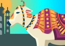 About the girl who turned into a cow