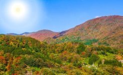 Action de Grâce Action de Grâce