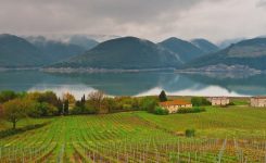 An Idyll in Tuscany and Umbria