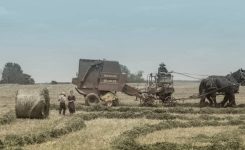 An Octogenerian’s View Of Change