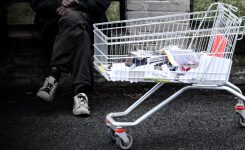 At War With The Grocery Cart Guy In St