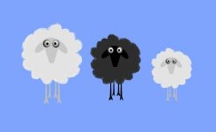 Black Sheep Black Sheep