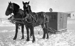 Blood Poison Blood Poison