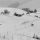 Cold Comfort Cold Comfort