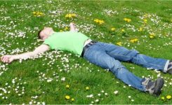 Dandelions Again Dandelions Again