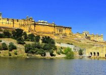 Don’t Dilly-Dally in Delhi