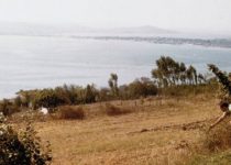 Dread of Circumcision, Dreams of Cabbage