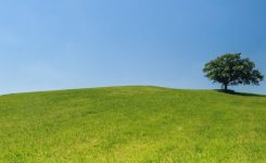 Enchantment of Hills