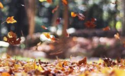 Falling Down Falling Down