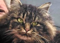 Felicity Goes on An Adventure