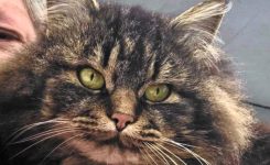 Felicity Goes on An Adventure