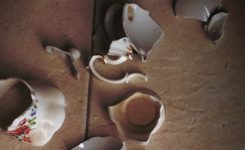 Fine China Fine China