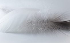 Five in the Morning Five in the Morning