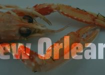 Food and Fun in the French Quarter of New Orleans