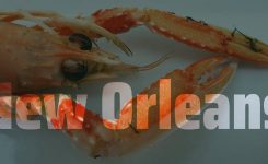 Food and Fun in the French Quarter of New Orleans