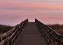 Fractured Tales 16 – Snake-back