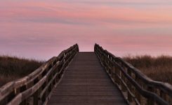 Fractured Tales 16 – Snake-back