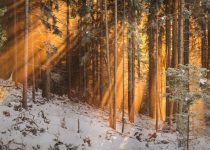 Fractured Tales 5 – The Great Ones