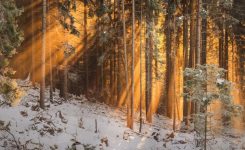 Fractured Tales 5 – The Great Ones