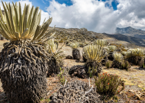 My Storied Childhood (Part III)