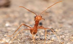 From The Prayer-book