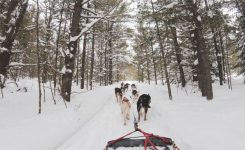 Gold Is Where You Find It Gold Is Where You Find It