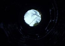 Had It With The Town