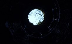 Had It With The Town Had It With The Town