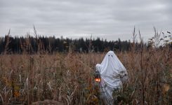 Halloween Ghost In A Field