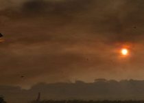 9 Harry Hogan – One For The Memory Book