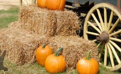 Harry Hogan 08 – The Hay Thief Harry Hogan 08 – The Hay Thief