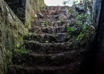 11 Harry Hogan – Voices in the Night