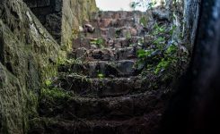 Harry Hogan 11 – Voices in the Night Harry Hogan 11 – Voices in the Night