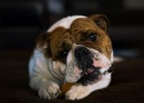 17 Harry Hogan – Digging Up Bones