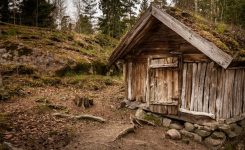 Harry Hogan 23 – Hobie’s Hill Harry Hogan 23 – Hobie’s Hill